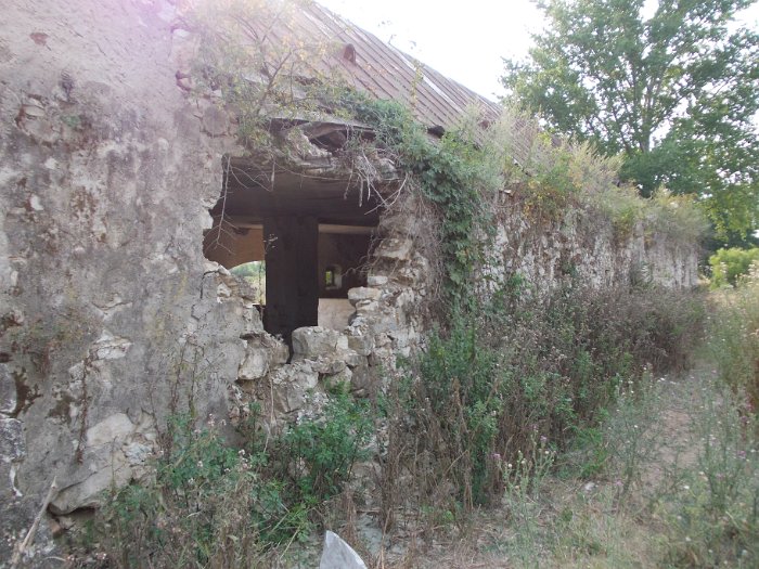 DSCN3046