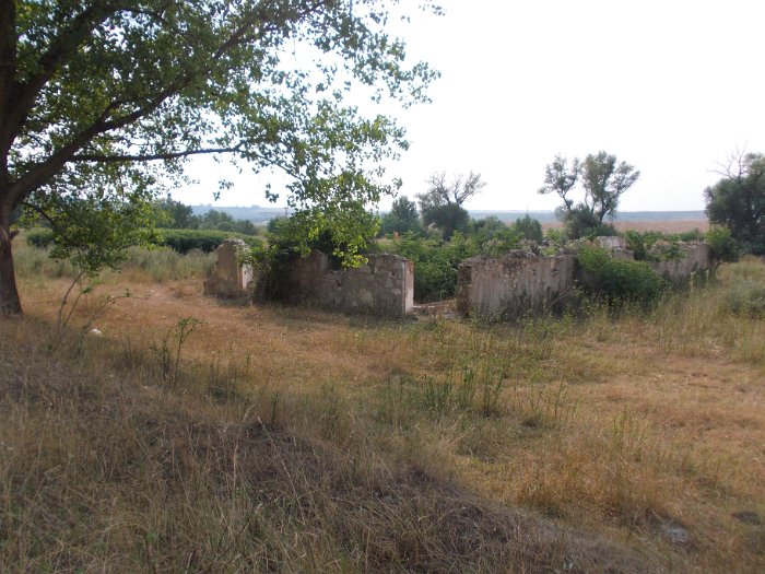 DSCN3064