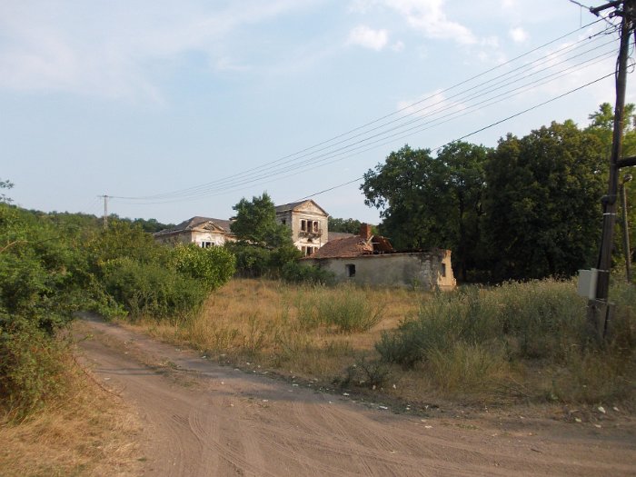 DSCN3070
