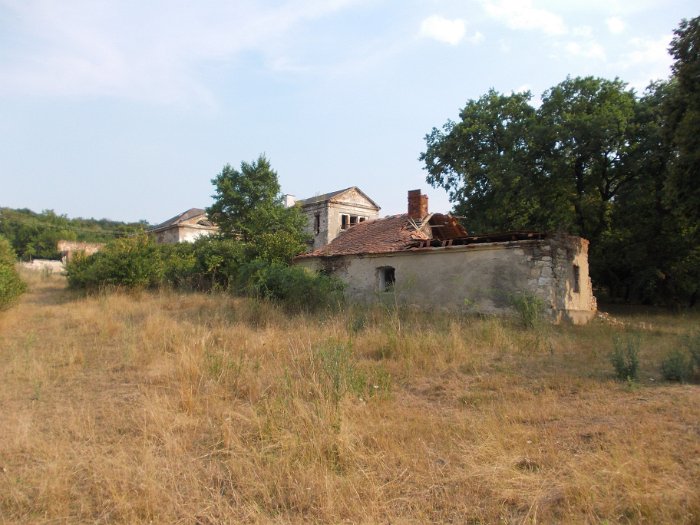 DSCN3072