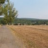 DSCN3043