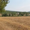 DSCN3044