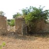 DSCN3066