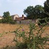 DSCN3071