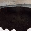 DSCN3103
