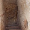 DSCN3114