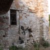 DSCN3124