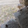 DSCN3128