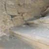 DSCN3129