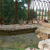 DSCN3137